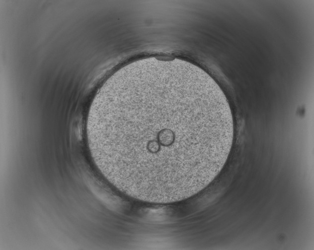 X0000115600068200912221155