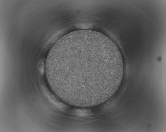 X0000115600069200912221155