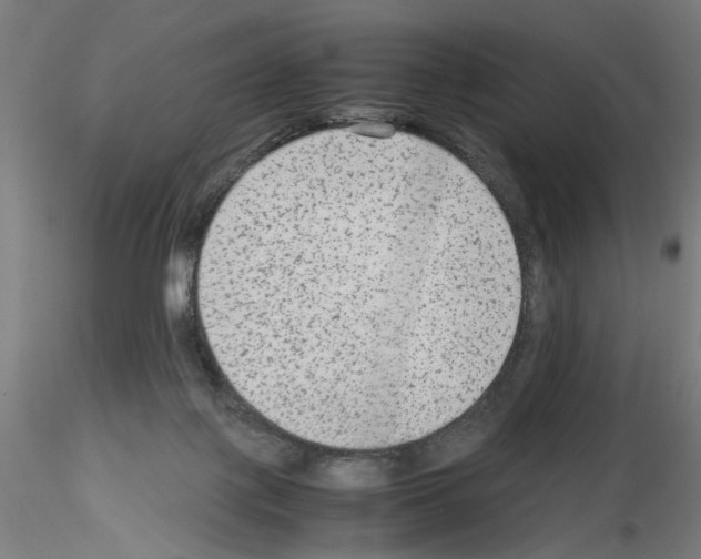 X0000115600075200912221155