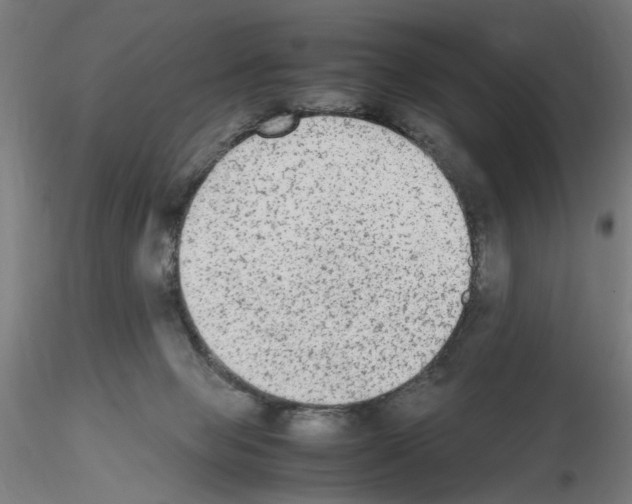 X0000115600077200912221155