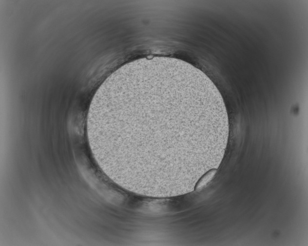 X0000115600078200912221155