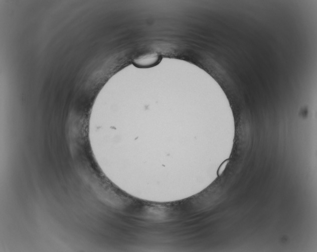 X0000115600079200912221155