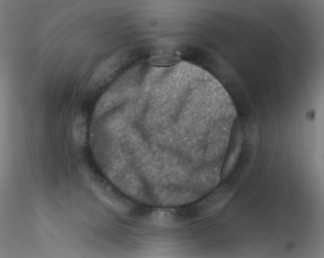 X0000115600080200912221155