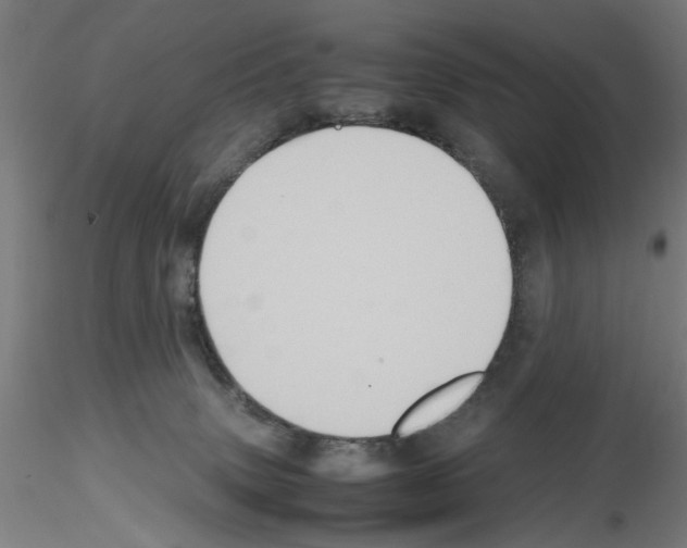 X0000115600083200912221155