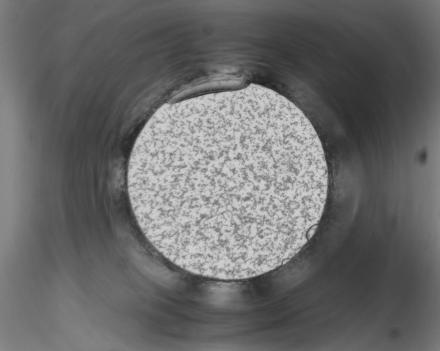 X0000115600085200912221155