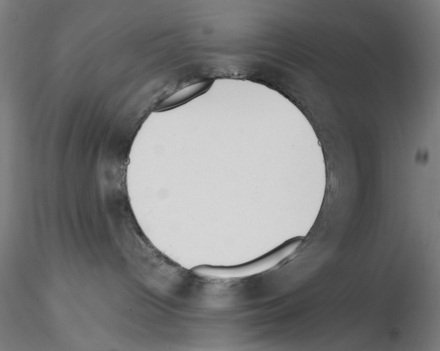 X0000115600096200912221155