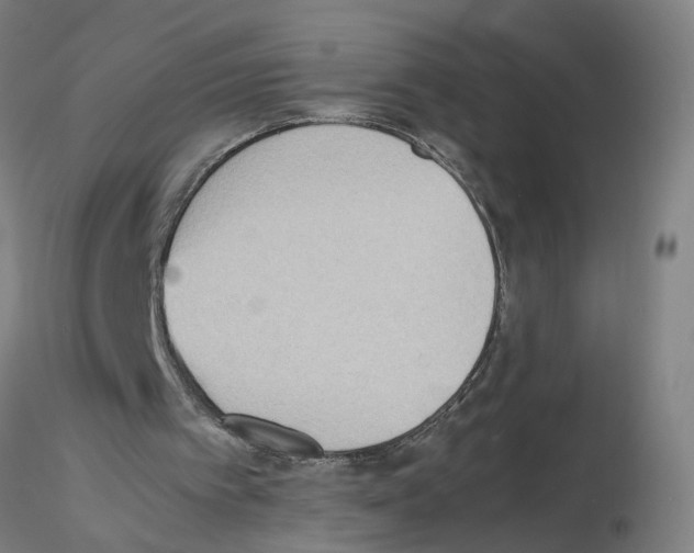 X0000115600097200912221154