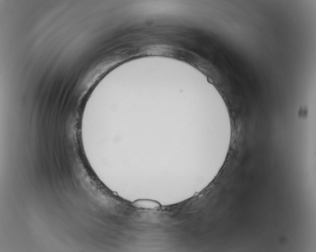 X0000115600098200912221154