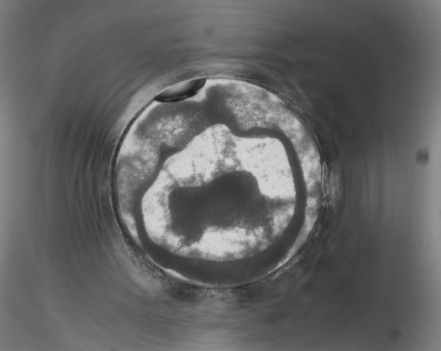 X0000115600099200912221154