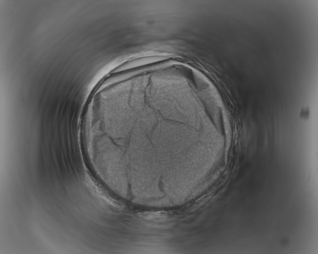 X0000115600100200912221154