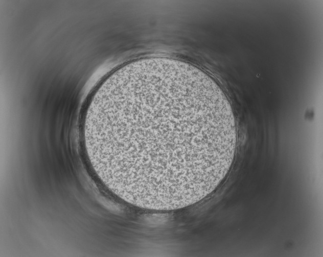 X0000115600102200912221154