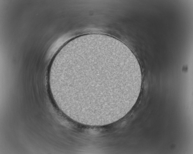 X0000115600103200912221154