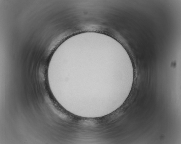 X0000115600106200912221154