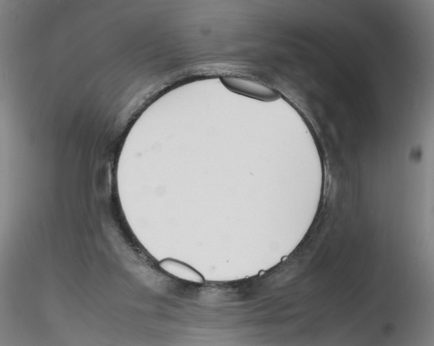 X0000115600109200912221154