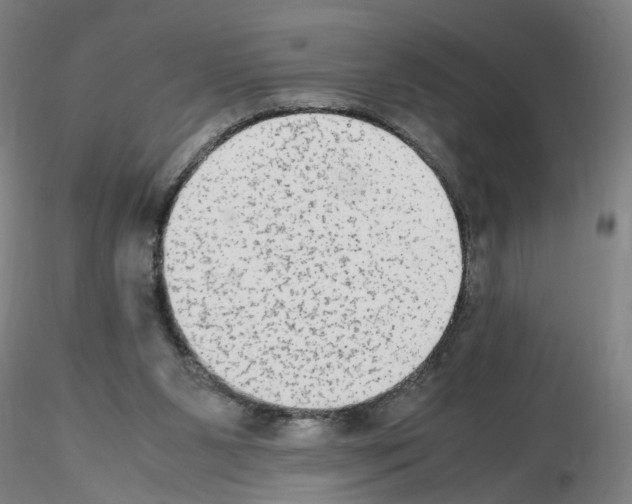 X0000115600111200912221154