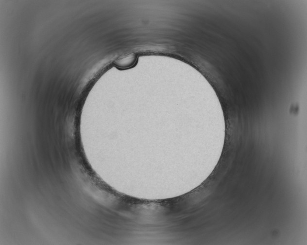 X0000115600112200912221154