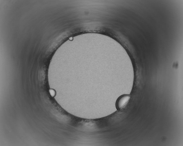 X0000115600113200912221154