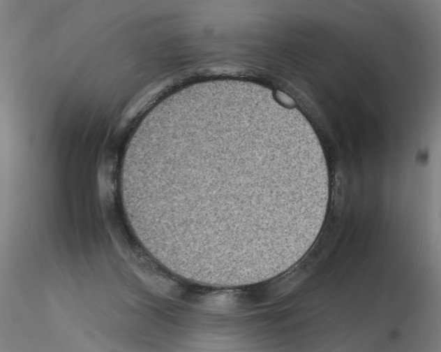 X0000115600116200912221154