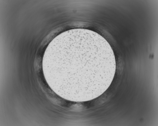 X0000115600119200912221154