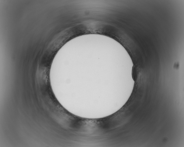 X0000115600121200912221154