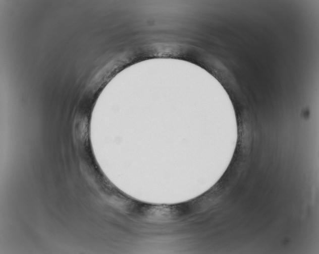 X0000115600123200912221154