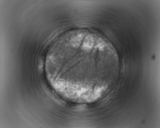 X0000115600124200912221154