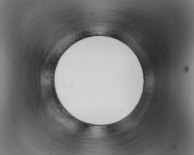 X0000115600126200912221154