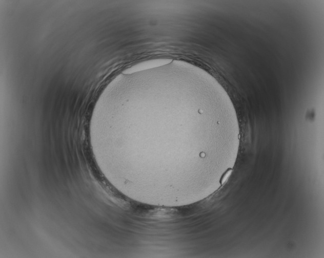 X0000115600128200912221154