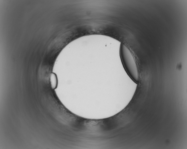 X0000115600129200912221154