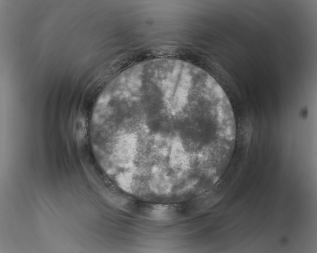 X0000115600130200912221154