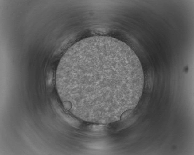 X0000115600134200912221154