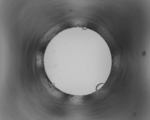 X0000115600138200912221154