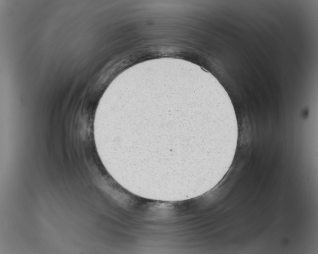 X0000115600140200912221154