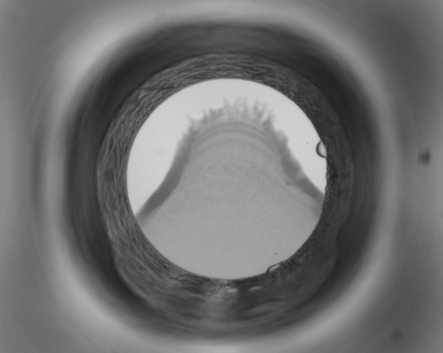 X0000115600143200912221154