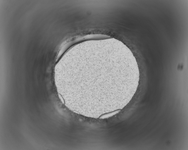 X0000115600144200912221154