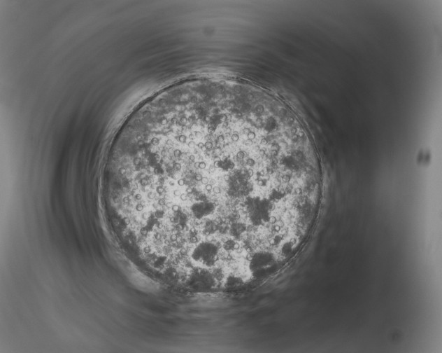 X0000115600145200912221153