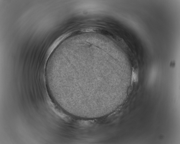 X0000115600147200912221153