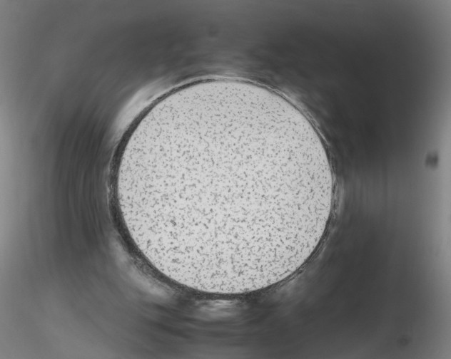 X0000115600151200912221153