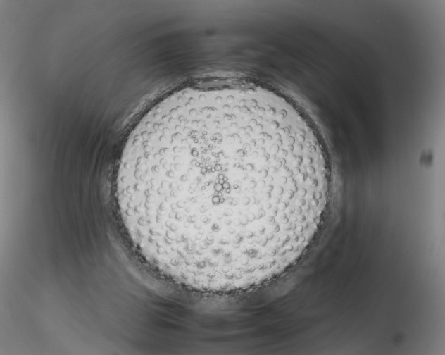 X0000115600153200912221153