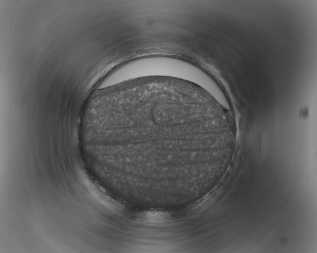 X0000115600154200912221153