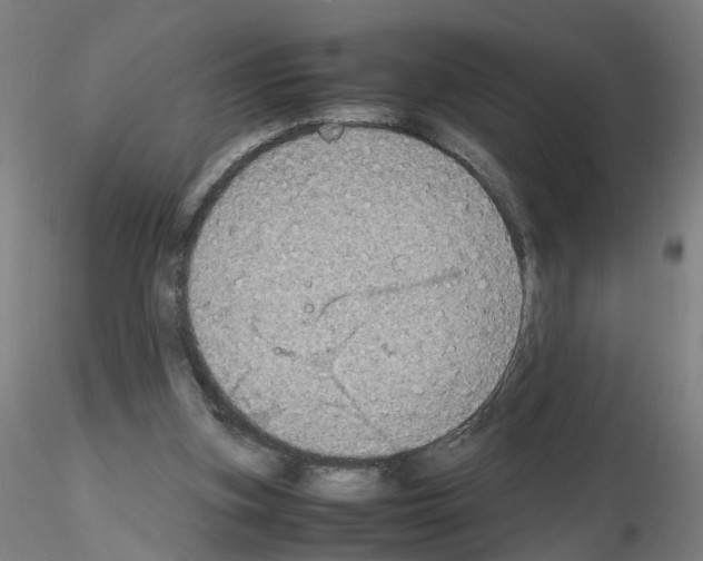 X0000115600155200912221153