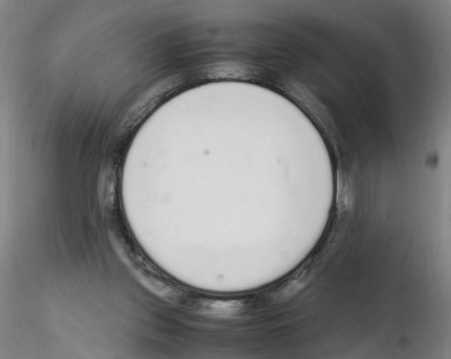 X0000115600157200912221153