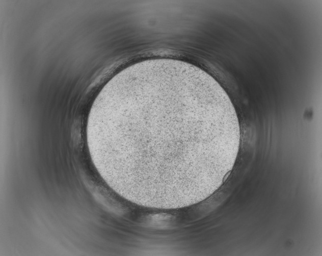 X0000115600158200912221153