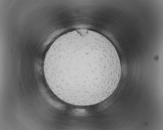 X0000115600159200912221153