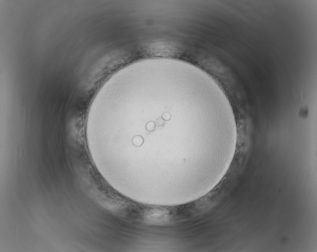 X0000115600162200912221153