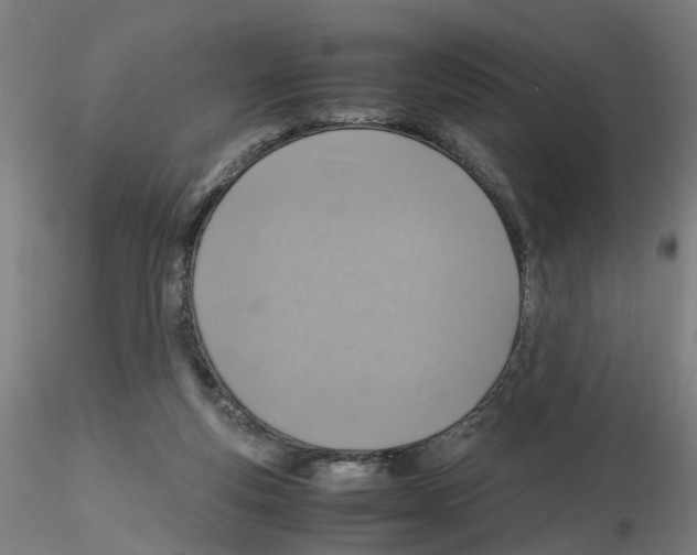 X0000115600163200912221153