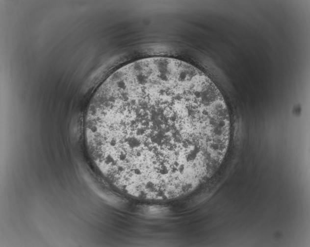 X0000115600165200912221153