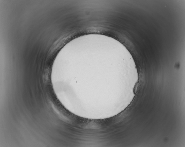 X0000115600166200912221153