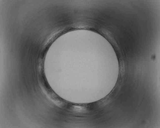 X0000115600167200912221153