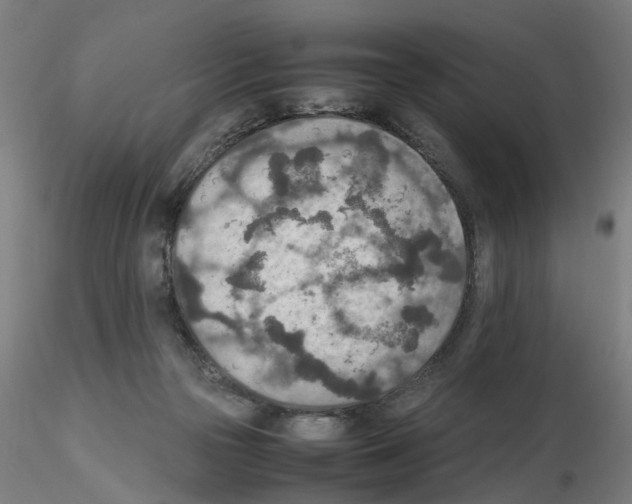 X0000115600169200912221153